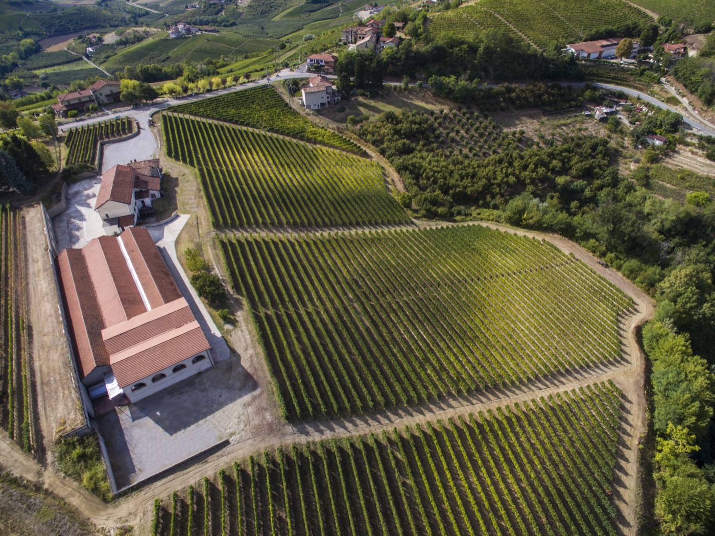 Tenuta San Quirico