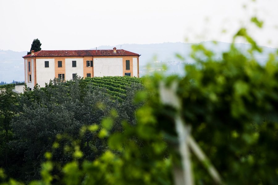 The estate at Agliano Terme