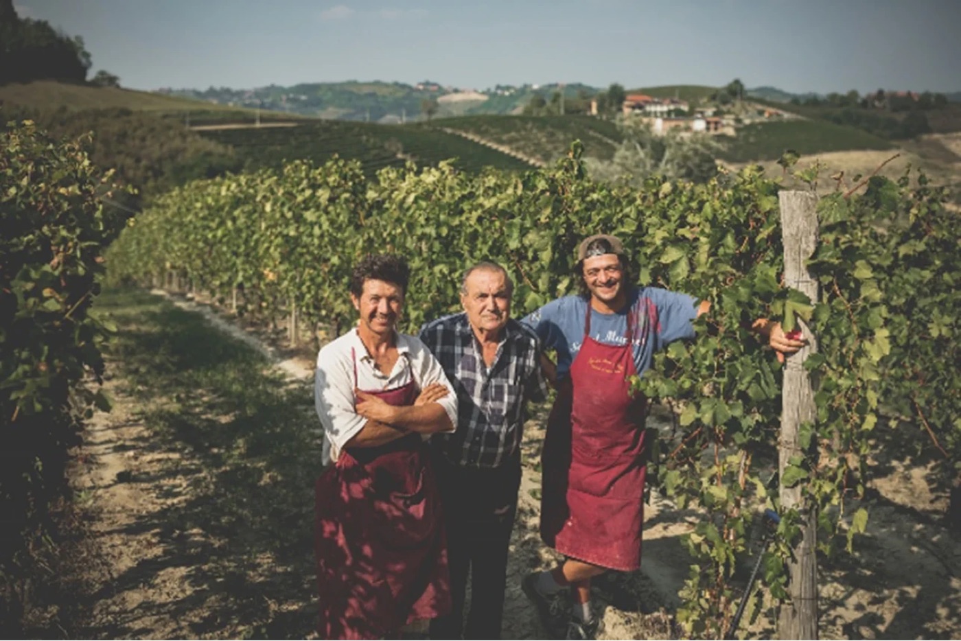 Pino, their father Agostino and Mauro (left to right) in the family's Barbera vineyard at Agliano Terme